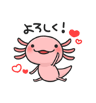 まいにちウーパー（個別スタンプ：1）