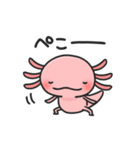 まいにちウーパー（個別スタンプ：3）
