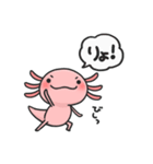 まいにちウーパー（個別スタンプ：8）