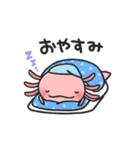 まいにちウーパー（個別スタンプ：11）