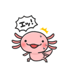 まいにちウーパー（個別スタンプ：13）