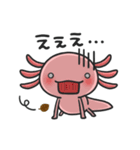 まいにちウーパー（個別スタンプ：14）