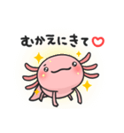 まいにちウーパー（個別スタンプ：16）