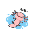 まいにちウーパー（個別スタンプ：22）