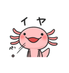 まいにちウーパー（個別スタンプ：24）