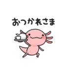 まいにちウーパー（個別スタンプ：29）
