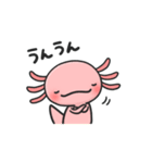 まいにちウーパー（個別スタンプ：30）