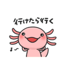 まいにちウーパー（個別スタンプ：33）