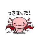 まいにちウーパー（個別スタンプ：35）