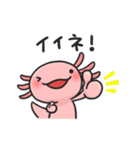 まいにちウーパー（個別スタンプ：38）