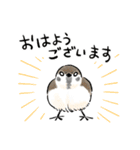 ゆるふわ野鳥スタンプ4（個別スタンプ：1）