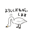 ゆるふわ野鳥スタンプ4（個別スタンプ：3）