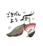 ゆるふわ野鳥スタンプ4（個別スタンプ：7）