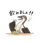 ゆるふわ野鳥スタンプ4（個別スタンプ：8）