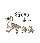 ゆるふわ野鳥スタンプ4（個別スタンプ：10）