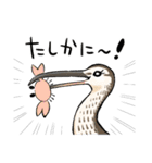ゆるふわ野鳥スタンプ4（個別スタンプ：12）