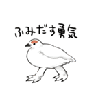 ゆるふわ野鳥スタンプ4（個別スタンプ：13）