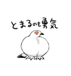 ゆるふわ野鳥スタンプ4（個別スタンプ：14）
