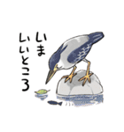 ゆるふわ野鳥スタンプ4（個別スタンプ：15）