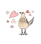 ゆるふわ野鳥スタンプ4（個別スタンプ：20）