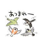ゆるふわ野鳥スタンプ4（個別スタンプ：22）