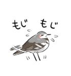 ゆるふわ野鳥スタンプ4（個別スタンプ：30）