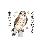 ゆるふわ野鳥スタンプ4（個別スタンプ：31）