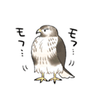 ゆるふわ野鳥スタンプ4（個別スタンプ：32）