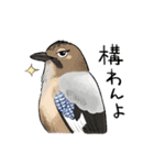 ゆるふわ野鳥スタンプ4（個別スタンプ：33）
