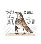 ゆるふわ野鳥スタンプ4（個別スタンプ：34）