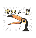 ゆるふわ野鳥スタンプ4（個別スタンプ：40）
