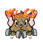 デグーさんのコミカルスタンプ（個別スタンプ：20）