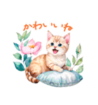 感情を伝える 水彩ねこ 日常✿大人上品（個別スタンプ：19）