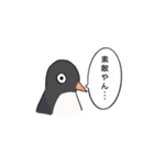 うちのちぃさんぴこちゃん【その6】（個別スタンプ：10）