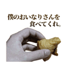 全てを肯定するおいなりさん（個別スタンプ：30）