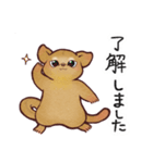 キンカジューの丁寧なスタンプ（個別スタンプ：6）