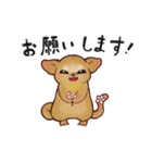 キンカジューの丁寧なスタンプ（個別スタンプ：11）