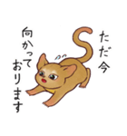 キンカジューの丁寧なスタンプ（個別スタンプ：15）