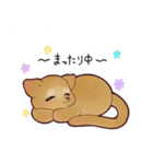 キンカジューの丁寧なスタンプ（個別スタンプ：19）