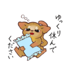 キンカジューの丁寧なスタンプ（個別スタンプ：22）