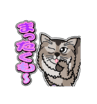 そまりぶらざーず 5 [日常グラデ文字3]（個別スタンプ：6）