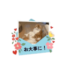 ぽんた師匠の日常で使えるスタンプ第3弾（個別スタンプ：16）