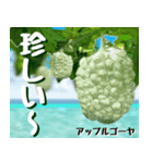 ゴーヤ大好き！沖縄行きた～い！（個別スタンプ：32）