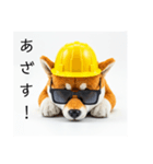 ぐでだる柴犬⭐嫁好き年末年始(再販)（個別スタンプ：9）