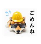ぐでだる柴犬⭐嫁好き年末年始(再販)（個別スタンプ：29）