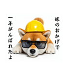 ぐでだる柴犬⭐嫁好き年末年始(再販)（個別スタンプ：35）