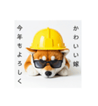 ぐでだる柴犬⭐嫁好き年末年始(再販)（個別スタンプ：37）