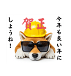 ぐでだる柴犬⭐嫁好き年末年始(再販)（個別スタンプ：38）