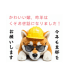 ぐでだる柴犬⭐嫁好き年末年始(再販)（個別スタンプ：39）