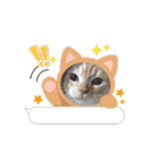 ゆずスタンプだにゃん（個別スタンプ：16）